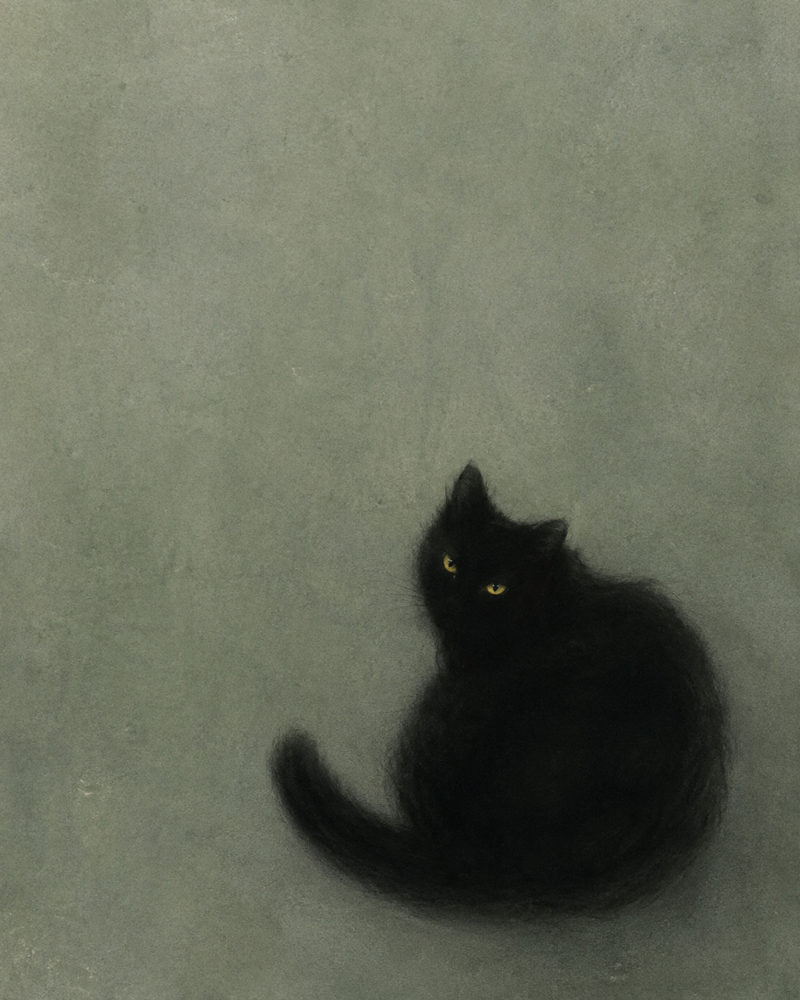 black cat sage: fluffy cat looking back, sage green minimal, soft fur