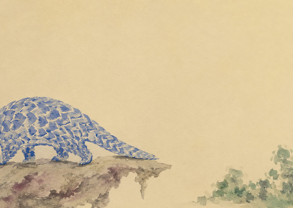 blue pangolin: vintage watercolour animal, cobalt blue minimalist, sage green cream naturalist