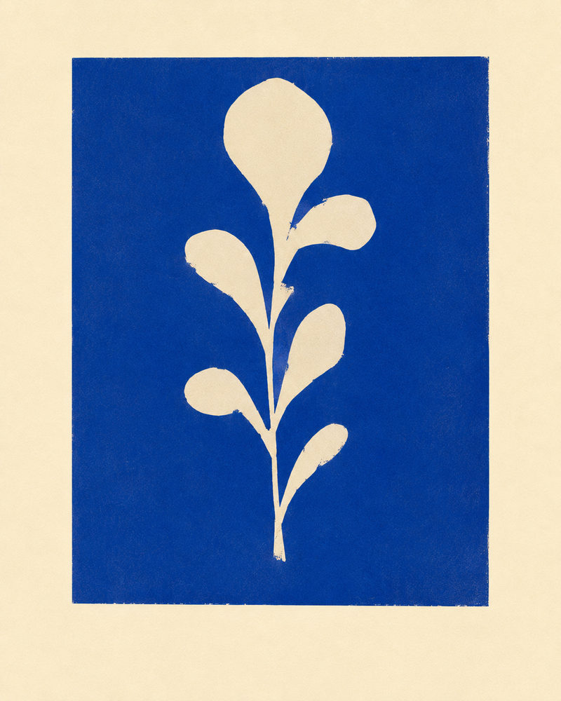 botanical silhouette: cobalt blue & cream, matisse style cutout, modern living room