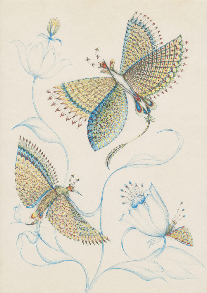 creature swirls: whimsical winged creature, vintage specimen, dreamy cottagecore
