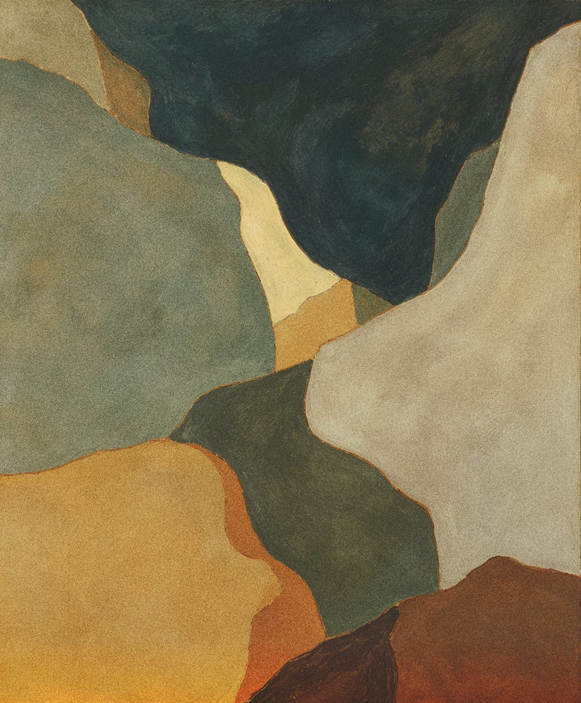 earth map: an aerial view in gouache, sage green, ochre and dark teal shapes with rust outlines