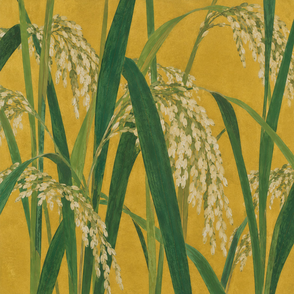 gold rice: drooping grain heads, long blades on gold leaf, japanese gold screen style, forest green and pale gold