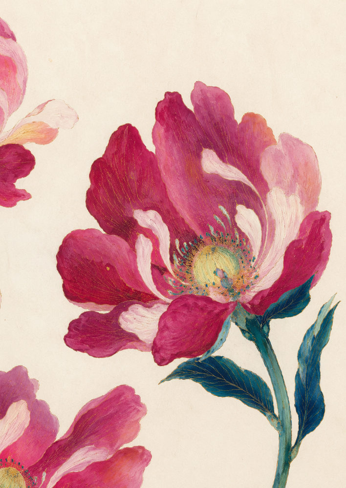 golden floral: vintage botanical, pink floral, romantic cottage bedroom