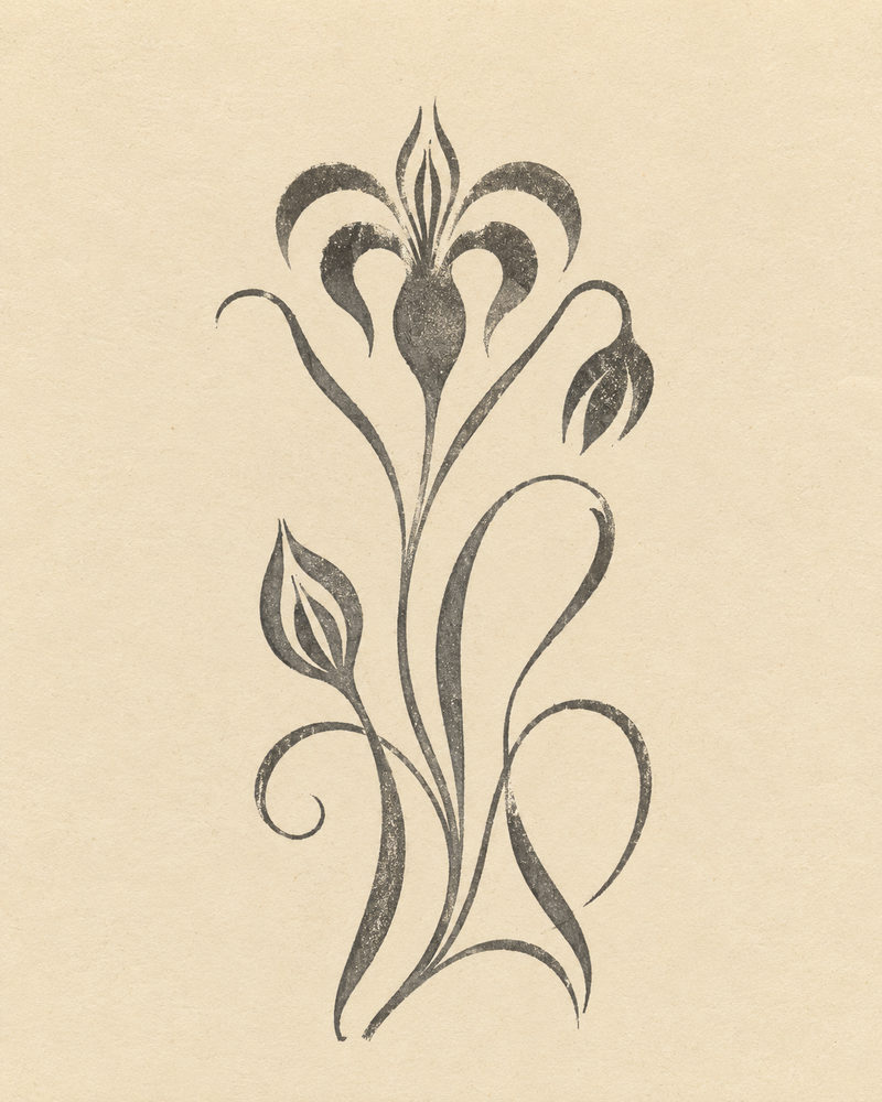 ink floral: japandi botanical, sepia cream, minimal ink brush floral bedroom