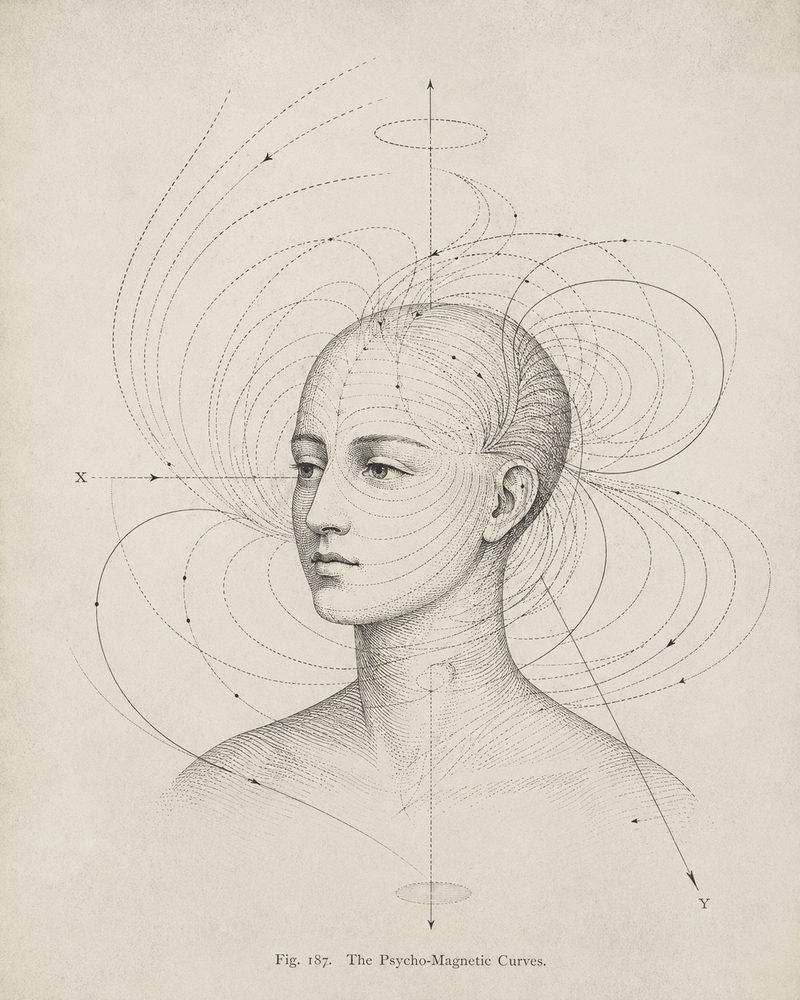 magnetic diagram: vintage head diagram, antique esoteric, occult study