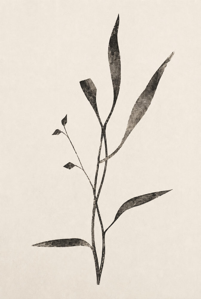 mono botanical: black and cream, japandi grass, single stem line