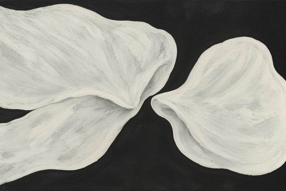 night blooms: two petal forms meeting tip to tip, dry brush in bone white, gray and matte black