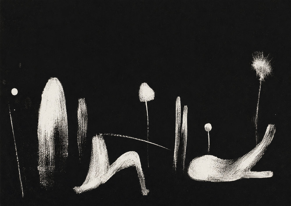 nightscape: white on black, dreamlike dandelion, moody bedroom