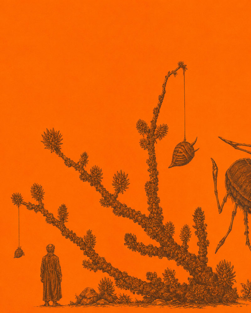 orange flora: alien botanical, orange and sepia engraving style, giant insect illustration