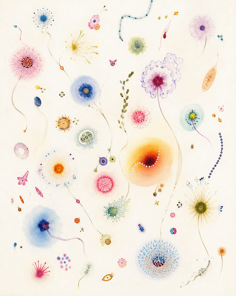 organism field: whimsical botanical, abstract plankton, calm science lab