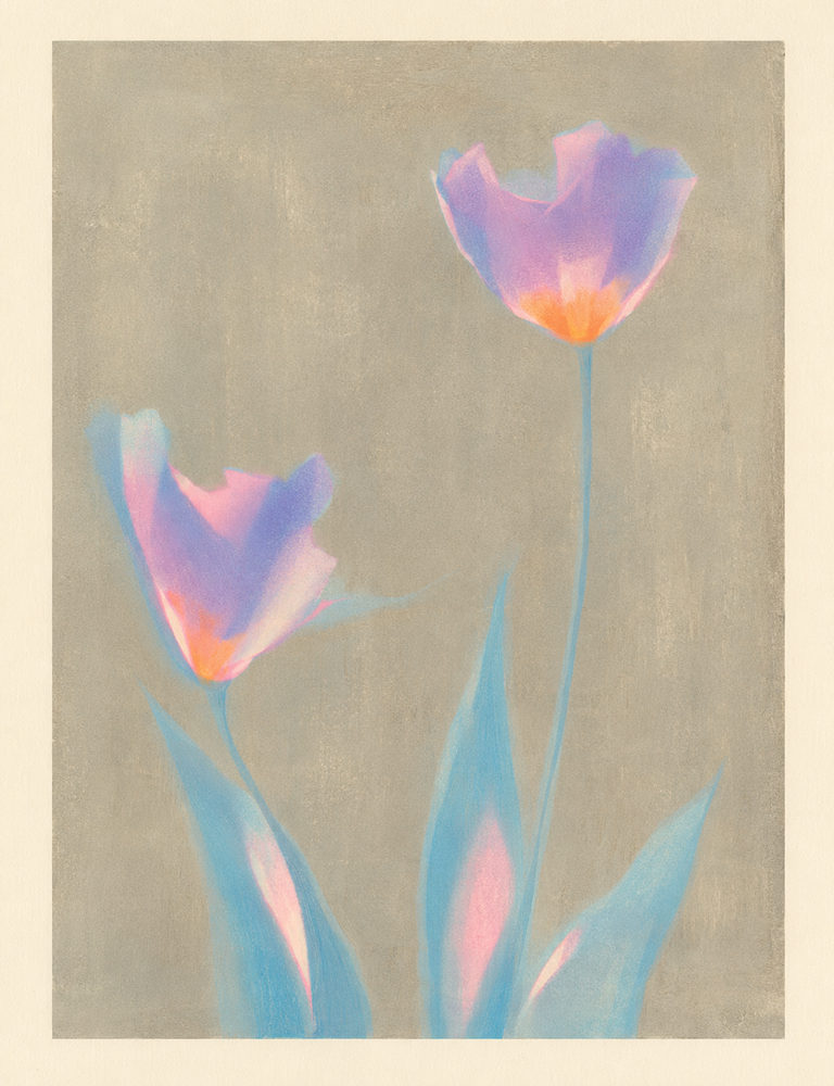 pastel tulips: dreamy botanical, lilac purple and teal, soft chalk pastel flowers