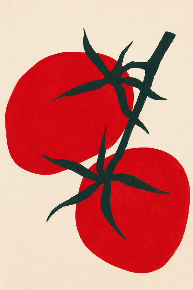 red tomatoes: bold botanical, painterly gouache, cheerful farmhouse kitchen