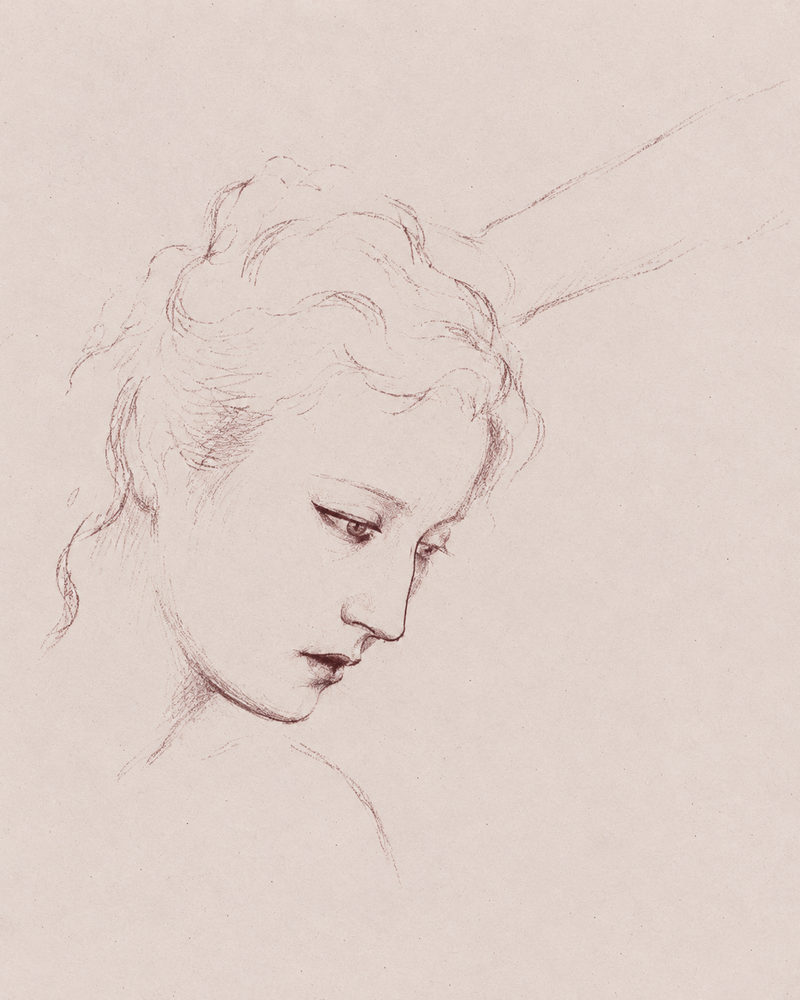 sanguine head: bowed head, loose curls and a bare shoulder, sanguine figure drawing, red brown on warm grey