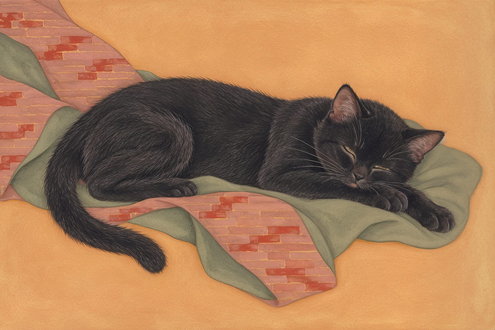 sleeping black cat: lying on a salmon pink brick pattern cloth, realist gouache, warm orange