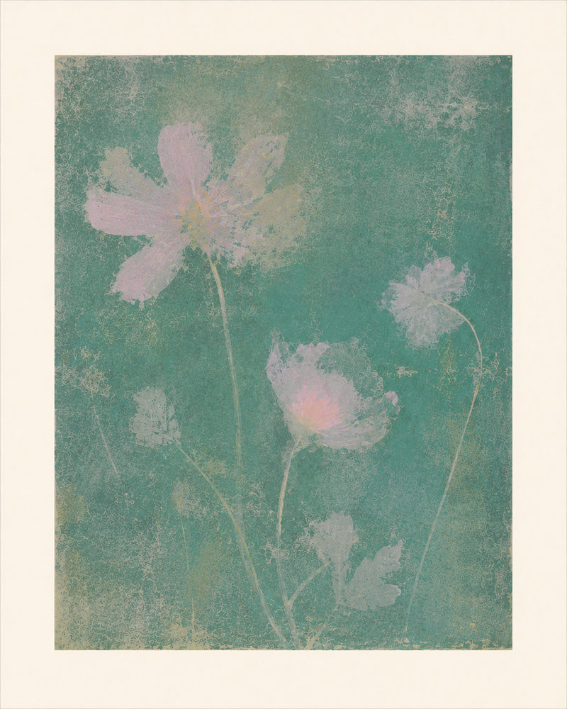 soft floral: pastel pink cosmos, dreamy teal botanical, romantic bedroom