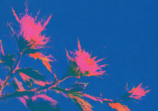 bold botanical