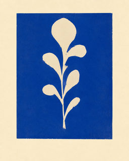 botanical silhouette