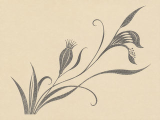 charcoal botanical