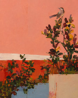 coral songbird
