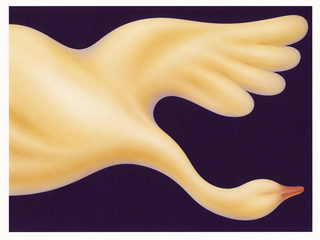 cream swan