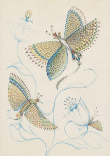 creature swirls