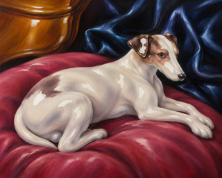 cushion dog