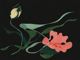 dark blooms
