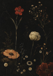 dark wildflowers