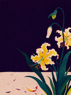 fallen petals