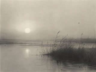 foggy wetlands