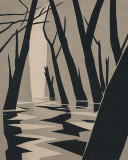 forest reflection