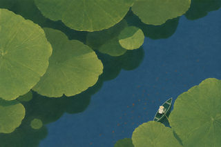 lily boat