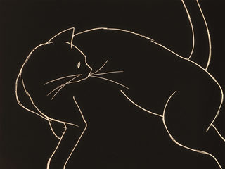 line cat