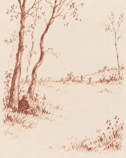 meadow sketch