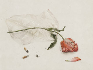 melancholic still life