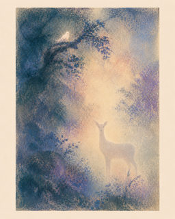 misty deer