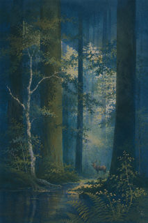 moonlit stag