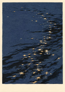 night reflections