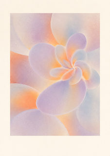 pastel bloom