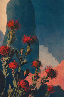 protea peaks