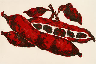 red bean pods