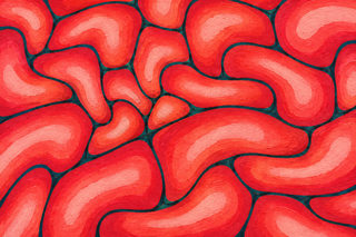 red meander
