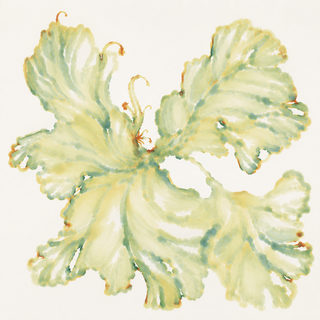 ruffled fronds