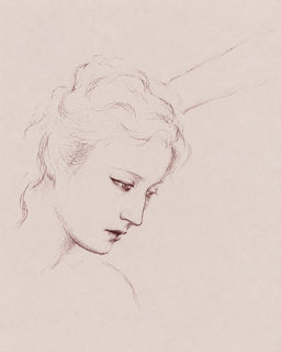 sanguine head