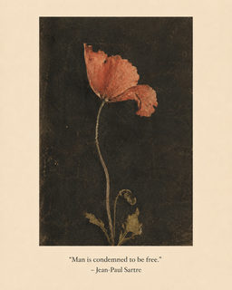 sartre botanical