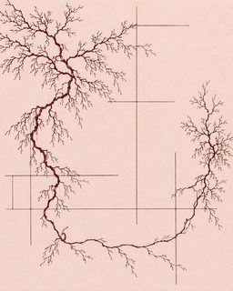 seed roots