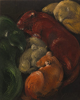 sleeping animals