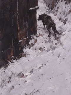 snow wolf