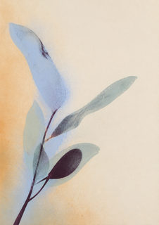 soft botanical