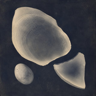 stone forms
